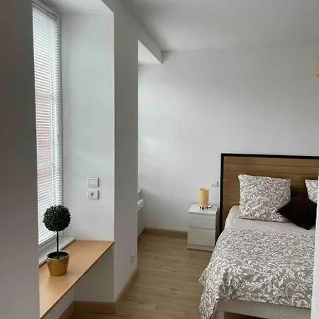 Apartamento Petite Venise, Hyper Centre, Lumineux Et Au Calme Colmar
