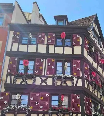 Petite Venise, Hyper Centre, Lumineux Et Au Calme * Colmar